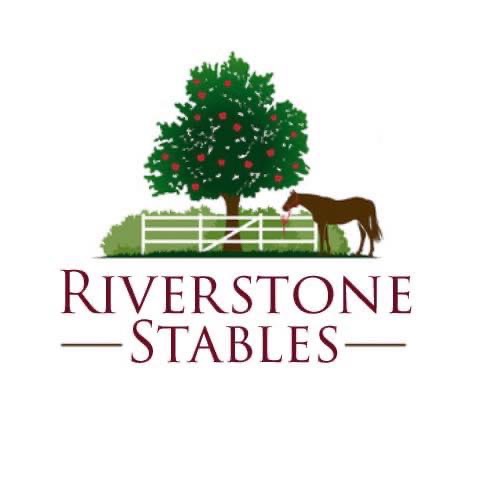 Riverstone Stables & Sport Horses | 144 Knox Rd, Schoharie, NY 12157, USA | Phone: (518) 728-1562