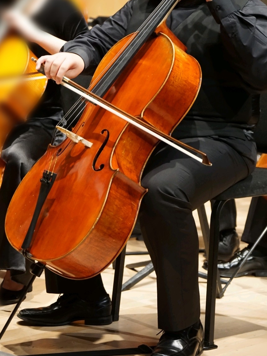 Classical Strings Inc. | 4813 Cheyenne Way, Chino, CA 91710, USA | Phone: (909) 627-8819