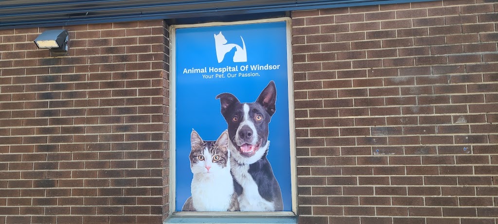 Animal Hospital of Windsor | 220 Tecumseh Rd W, Windsor, ON N8X 1G1, Canada | Phone: (519) 252-4327