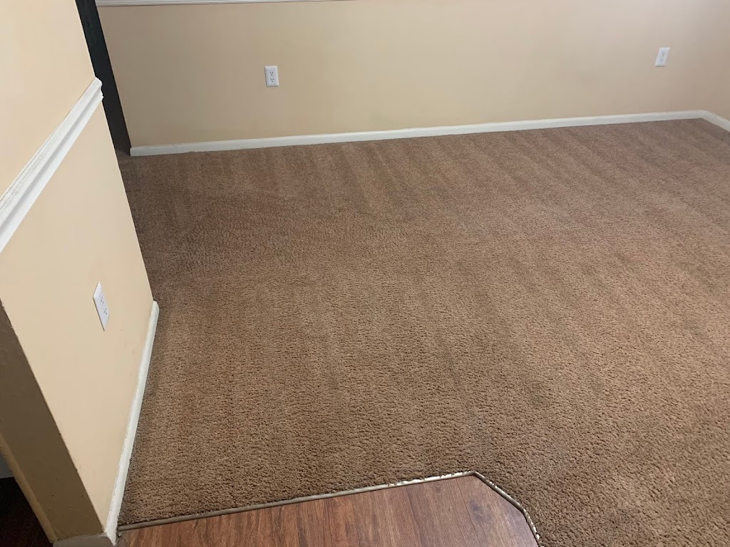 Hydra Maxx Carpet Cleaning-Tampa | 35946 FL-54, Zephyrhills, FL 33541, USA | Phone: (813) 220-2532