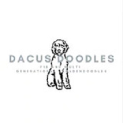 Dacus Doodles | 28209 Denn Ct, Montgomery, TX 77356, United States | Phone: (936) 697-9865