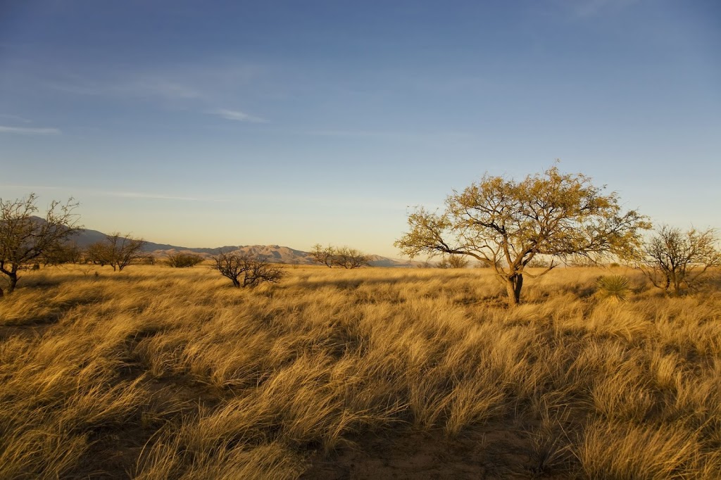 Canyon Del Oro Assembly of God | 2950 W Lambert Ln, Tucson, AZ 85742, USA | Phone: (520) 742-1168