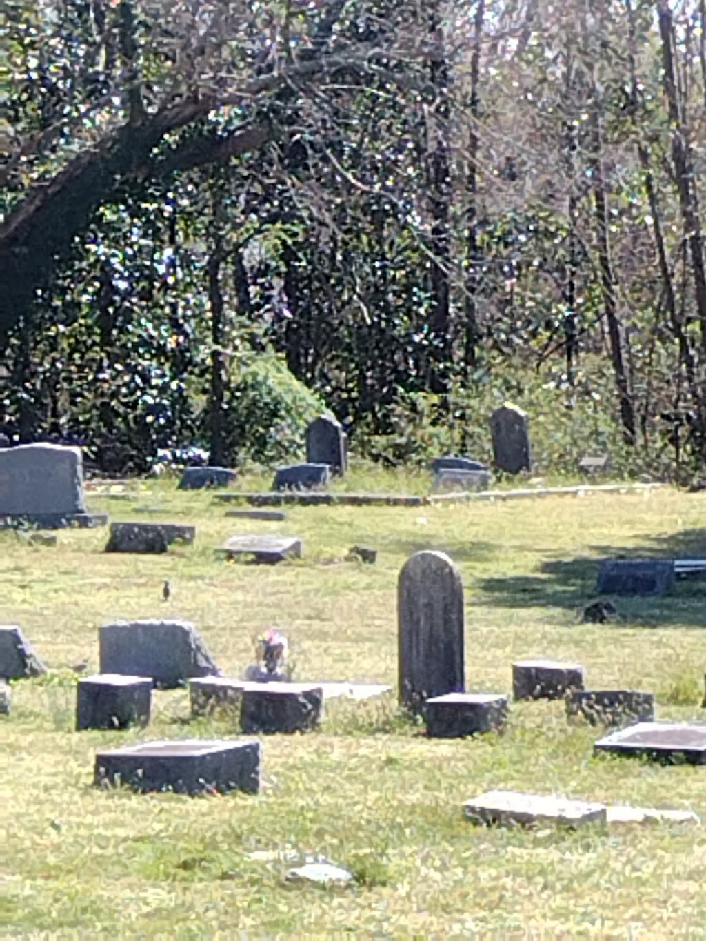 Pleasant Shade Cemetery | 520 Shell Rd, Hampton, VA 23661, USA | Phone: (757) 247-5181