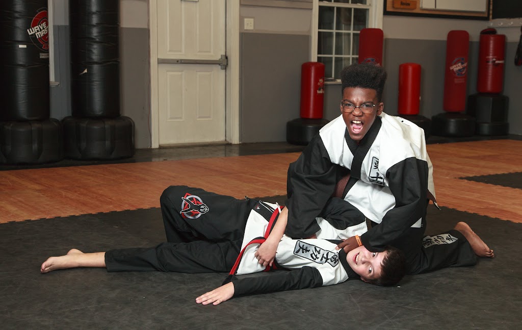 Warriors Way Martial Arts Institute | 2562 Anderson Hwy, Powhatan, VA 23139, USA | Phone: (804) 598-2575