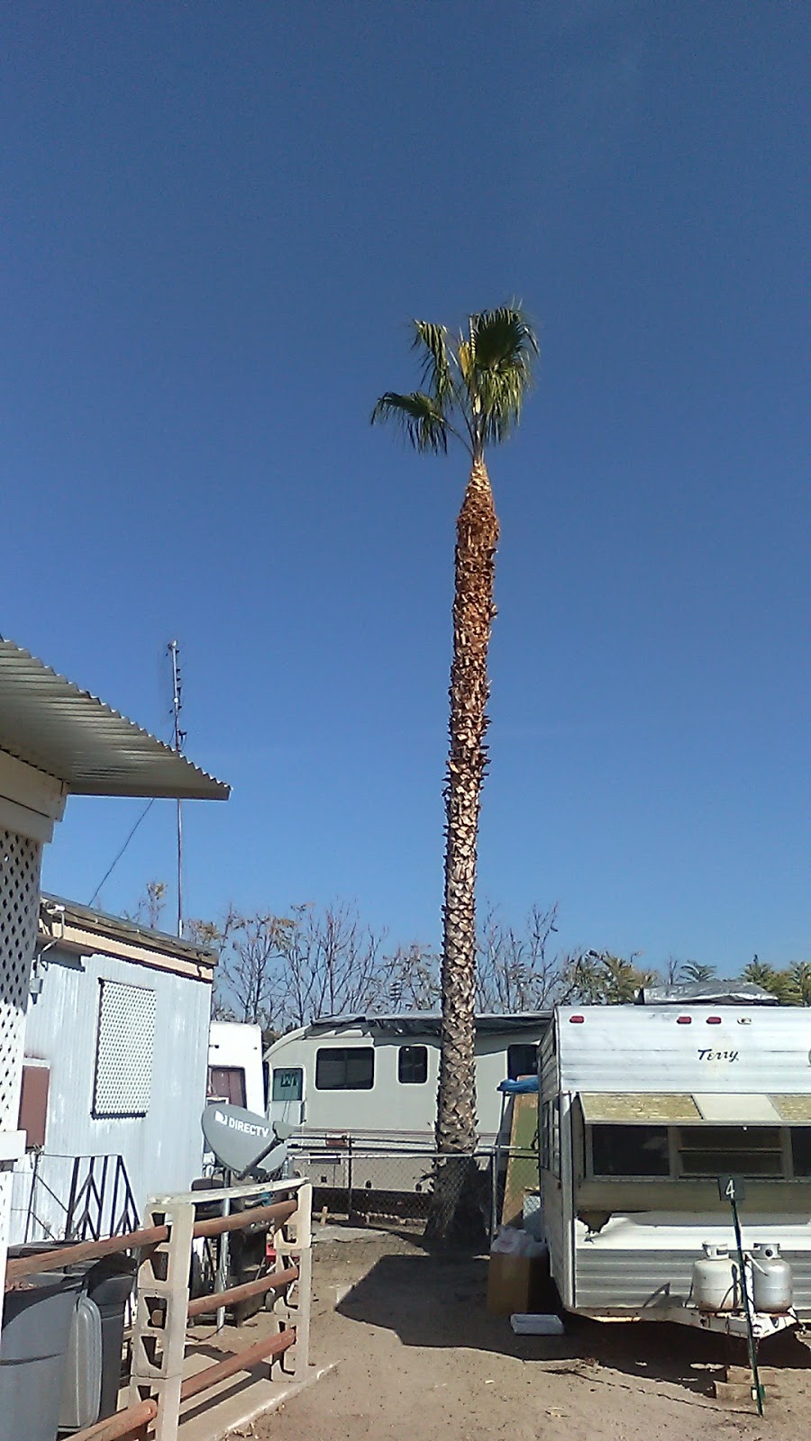 Porterville Trailer Park | 1168 S Main St, Porterville, CA 93257, USA | Phone: (559) 361-4366