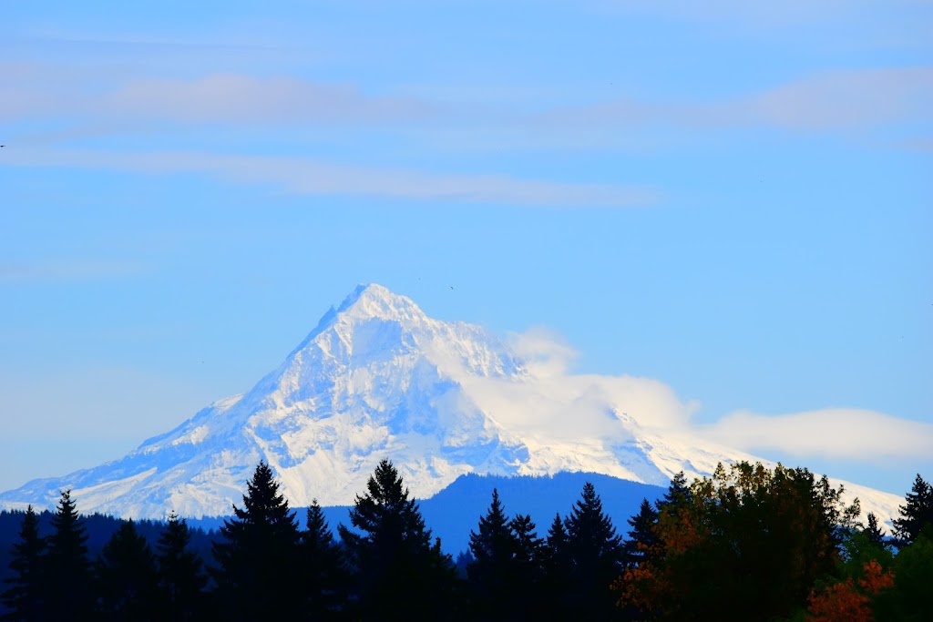 Hockinson Meadows Community Park | PF3X+5P, 10910 NE 172nd Ave, Vancouver, WA 98682, USA | Phone: (564) 397-2285