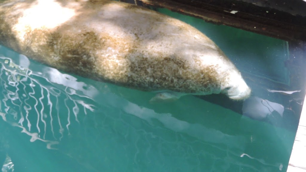 Manatee County Natural Resources | 5502 33rd Ave Dr W, Bradenton, FL 34209, USA | Phone: (941) 742-5923