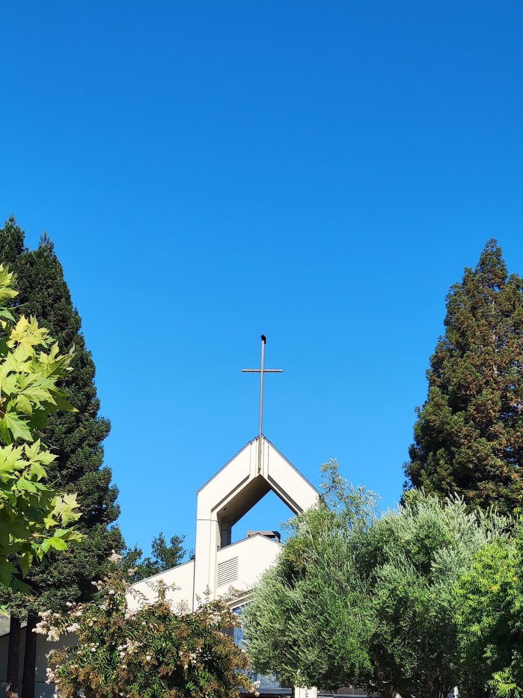 Gilroy Presbyterian Church | 6000 Miller Ave, Gilroy, CA 95020, USA | Phone: (408) 842-3000