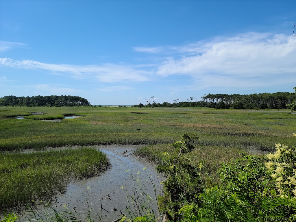 Eastern Shore Of Virginia National Wildlife Refuge Visitor Center | 32205 Seaside Rd, Cape Charles, VA 23310, USA | Phone: (757) 331-3425