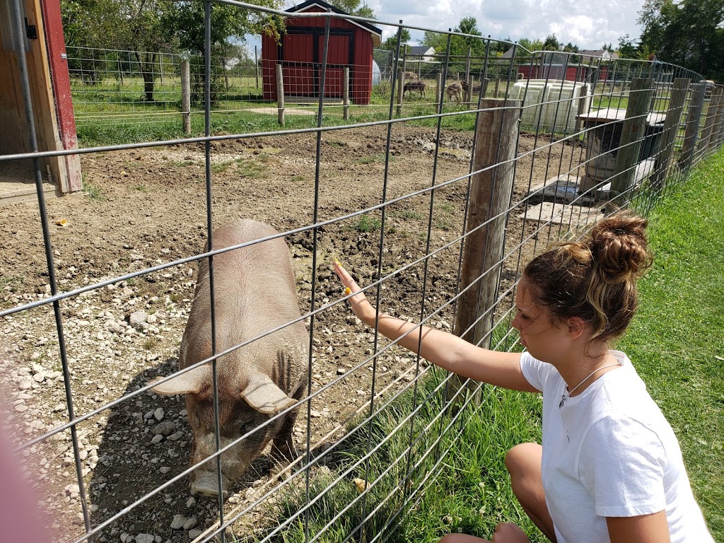 Spring Mist Farms | 691 Pearl Rd, Brunswick, OH 44212, USA | Phone: (330) 225-3565