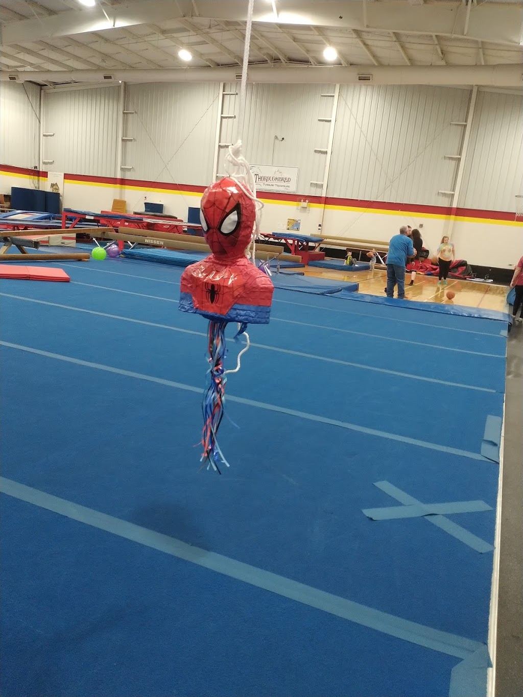 Thoroughbred Gymnastics Inc | 645 Westmeade Dr, Winchester, KY 40391, USA | Phone: (859) 744-7068