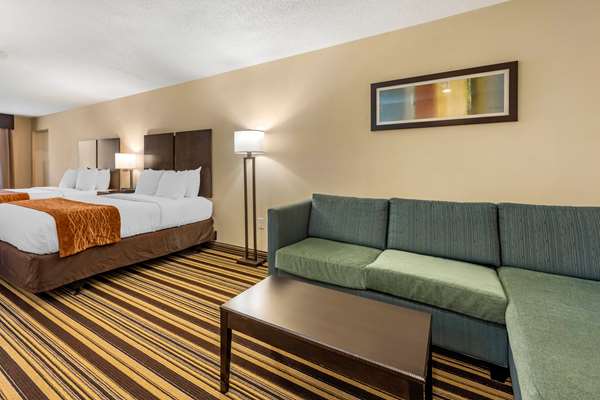 Comfort Inn & Suites | 675 Fort Henry Rd, Triadelphia, WV 26059, USA | Phone: (304) 907-1024