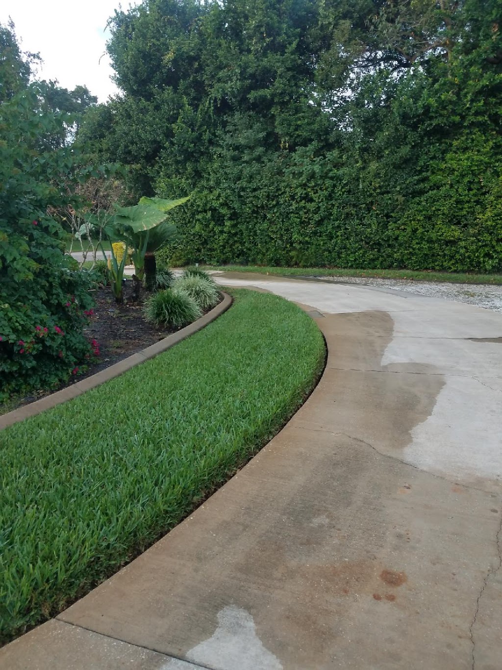 Scarano Lawn Care | 2626 Treehaven Dr, Deltona, FL 32738, USA | Phone: (386) 232-6089