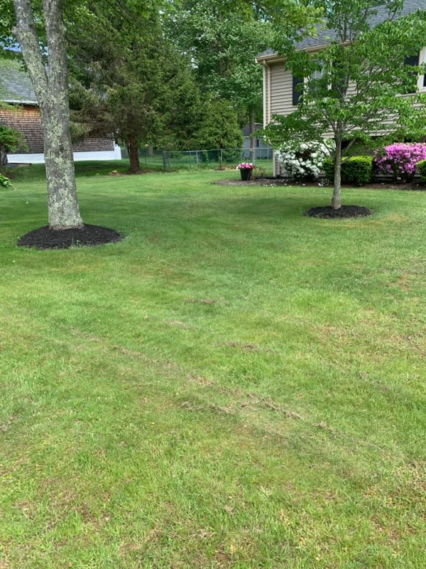 New England Services & Lawncare | 602 Old Bridge Ln, Bellingham, MA 02019, USA | Phone: (508) 726-2056