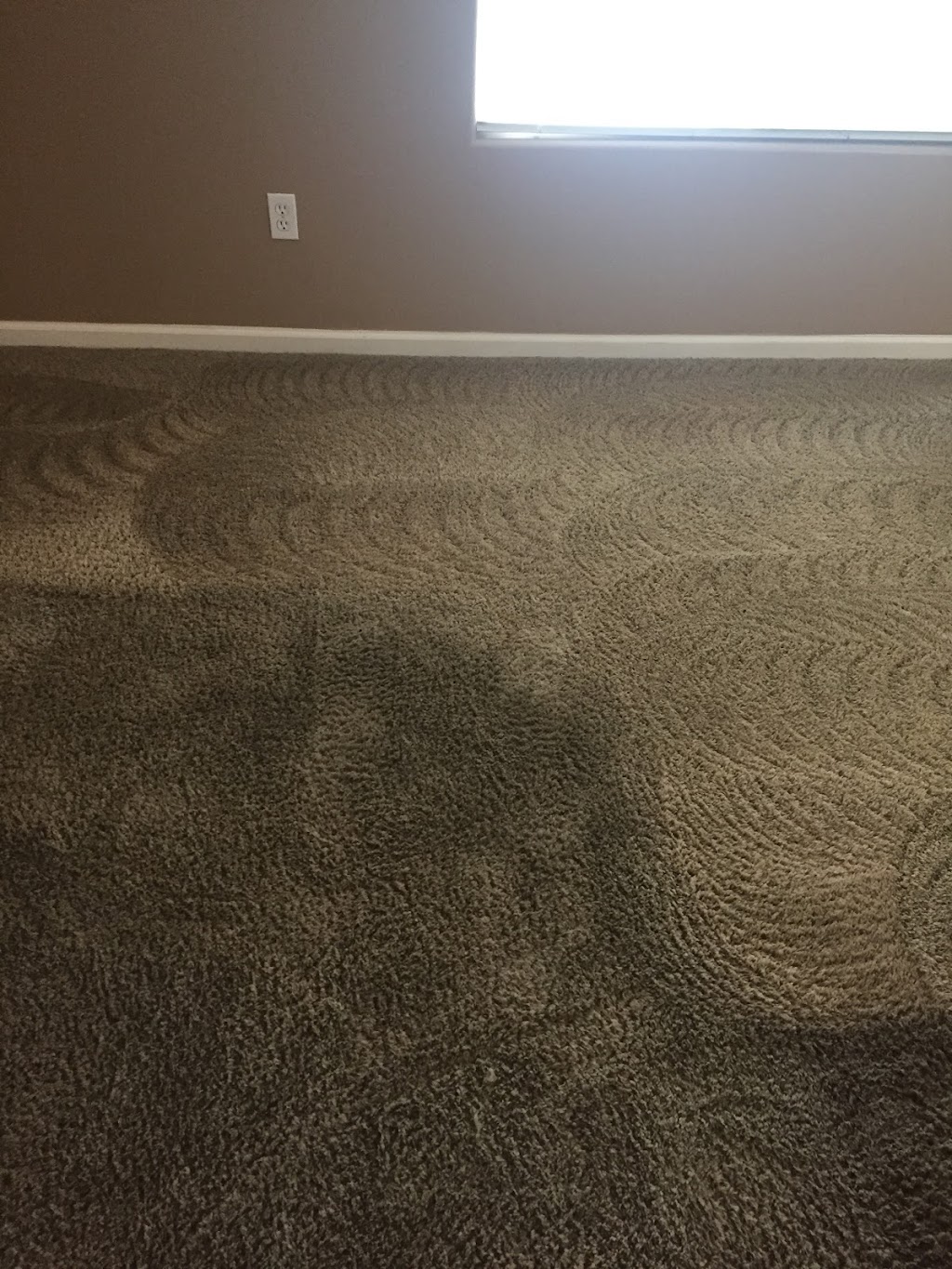 Bright Carpet Cleaning | 2417 Marva Marie Ct, Bakersfield, CA 93314, USA | Phone: (661) 332-2644