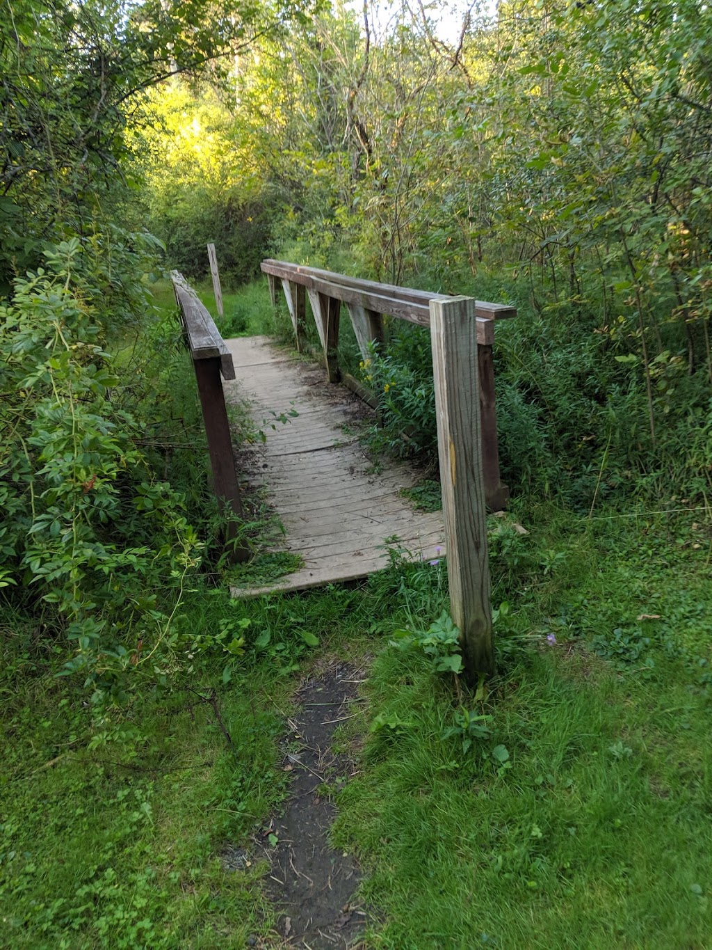 Clarence Nature Center | Thompson Rd, Clarence, NY 14031, USA | Phone: (716) 984-9046