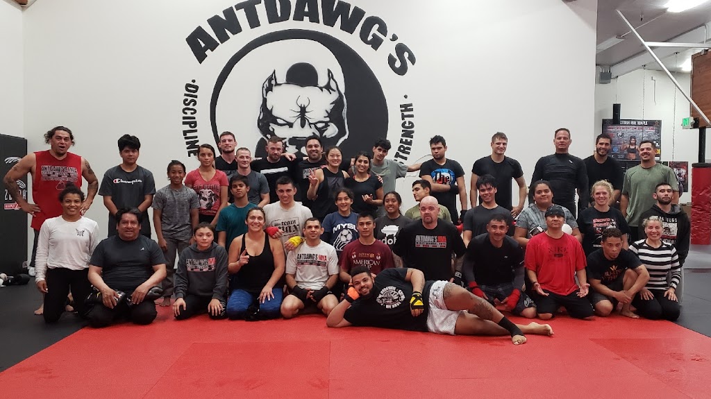 Antdawgs MMA Training Center | 6901 Monterey Hwy, Gilroy, CA 95020, USA | Phone: (408) 337-5774