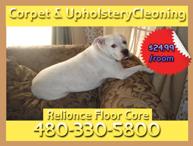 Reliance Carpet Cleaning | 11351 E Ramblewood Ave, Mesa, AZ 85212, USA | Phone: (480) 330-5800