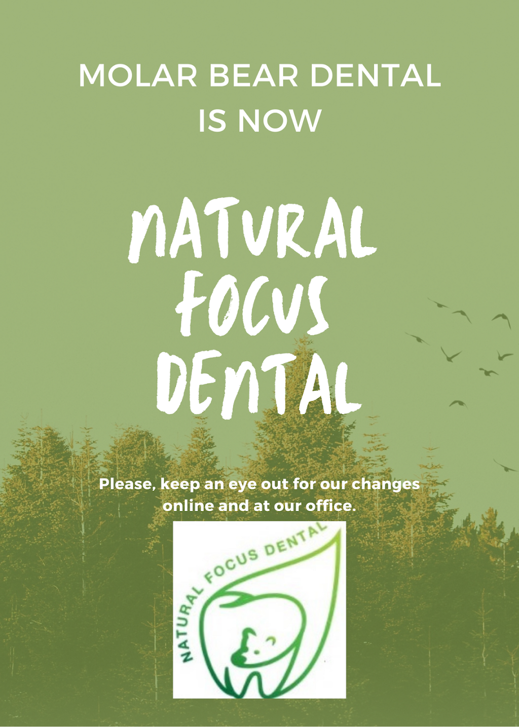 Natural Focus Dental | 360 Stonebrook Pkwy #110, Frisco, TX 75034, USA | Phone: (469) 252-0522