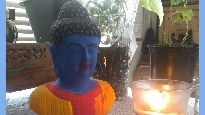 The Blue Buddha Botanicals | 37021 Tucker Rd Lot#11, Zephyrhills, FL 33541, USA | Phone: (203) 440-6507