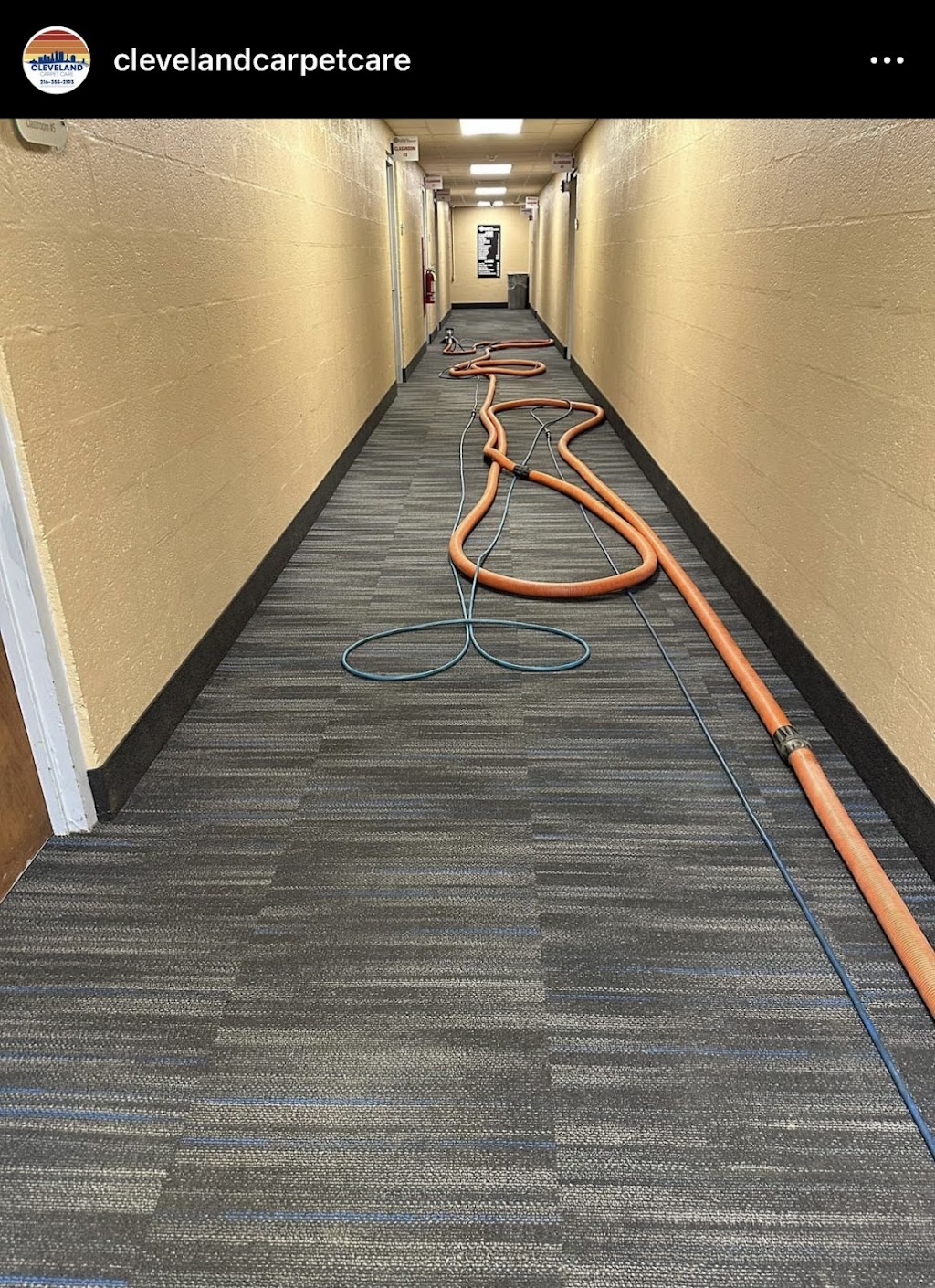 Cleveland Carpet Care ltd | 184 Tamarack Dr, Berea, OH 44017, USA | Phone: (216) 355-2193