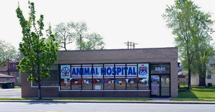 Animal Hospital On Route 66 | 6045 Ogden Ave, Cicero, IL 60804, USA | Phone: (708) 669-6666