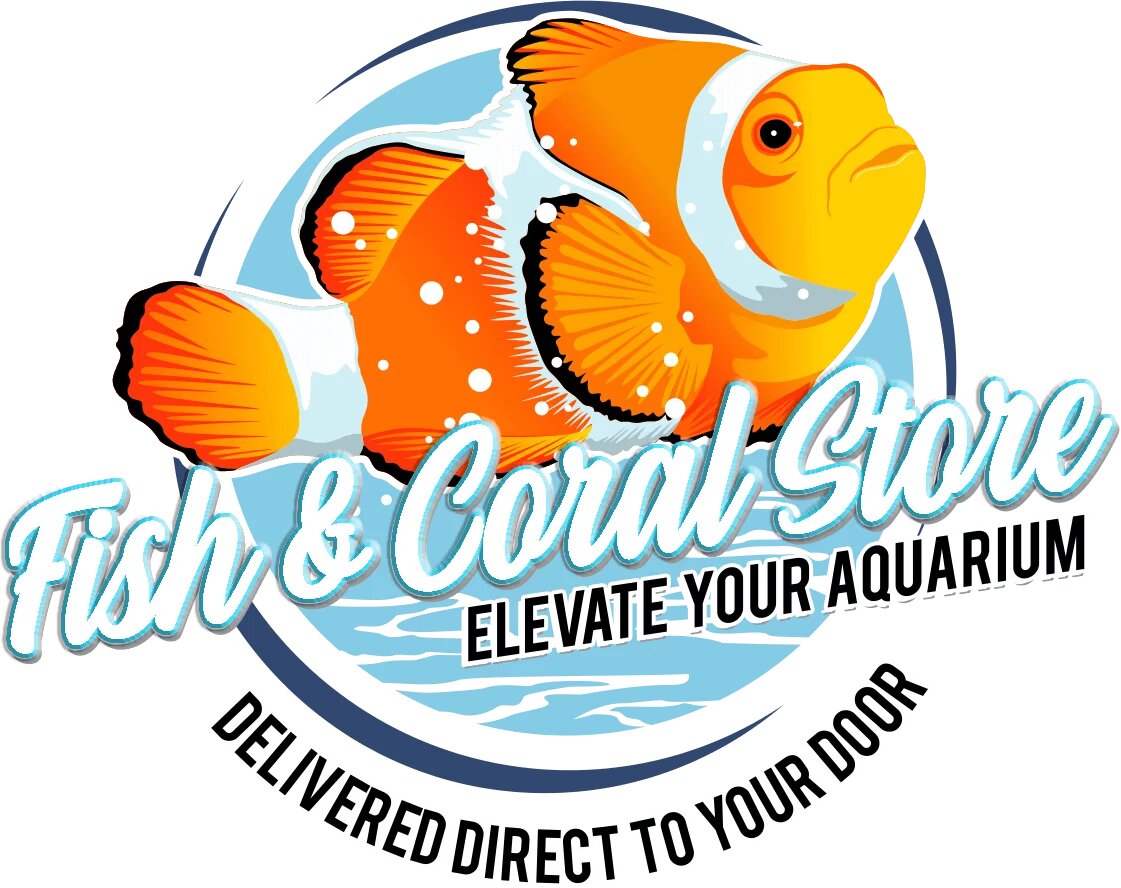 The Fish and Coral Store | 10572 Chestnut St, Los Alamitos, CA 90720, United States | Phone: (562) 955-3474