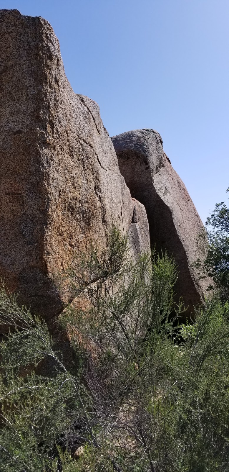 Mt. Gower County Preserve | 17090 Gunn Stage Rd, Ramona, CA 92065, USA | Phone: (760) 788-3326