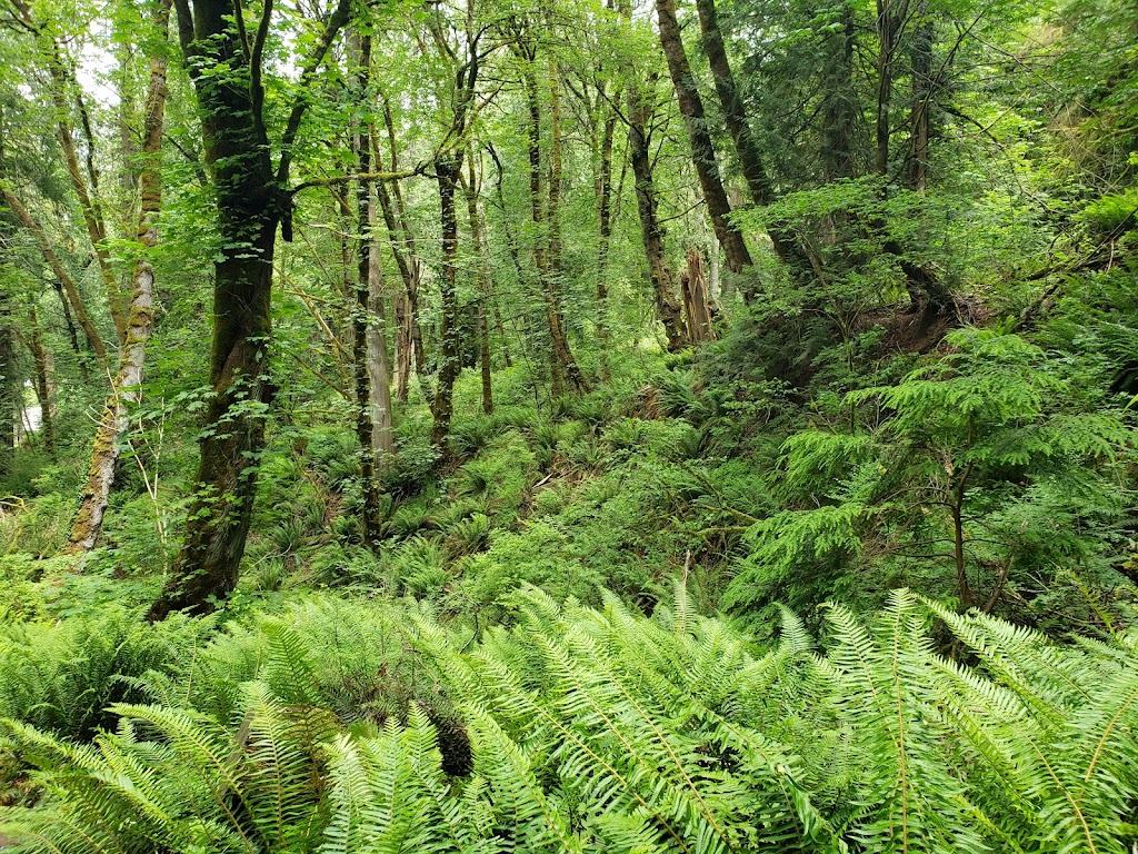 Kopachuck State Park | 10712 56th St NW, Gig Harbor, WA 98335, USA | Phone: (253) 265-3606