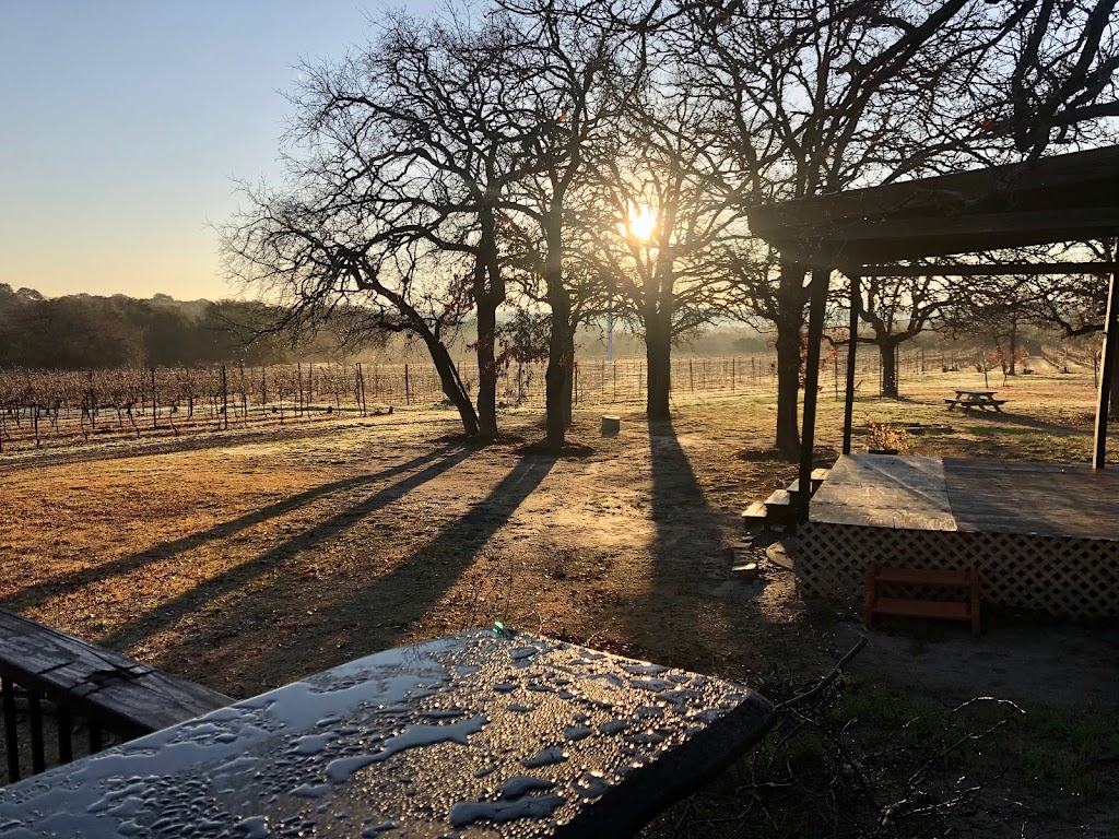 Hamilton Pool Vineyards | 25711 Hamilton Pool Rd, Dripping Springs, TX 78663, USA | Phone: (512) 400-4173