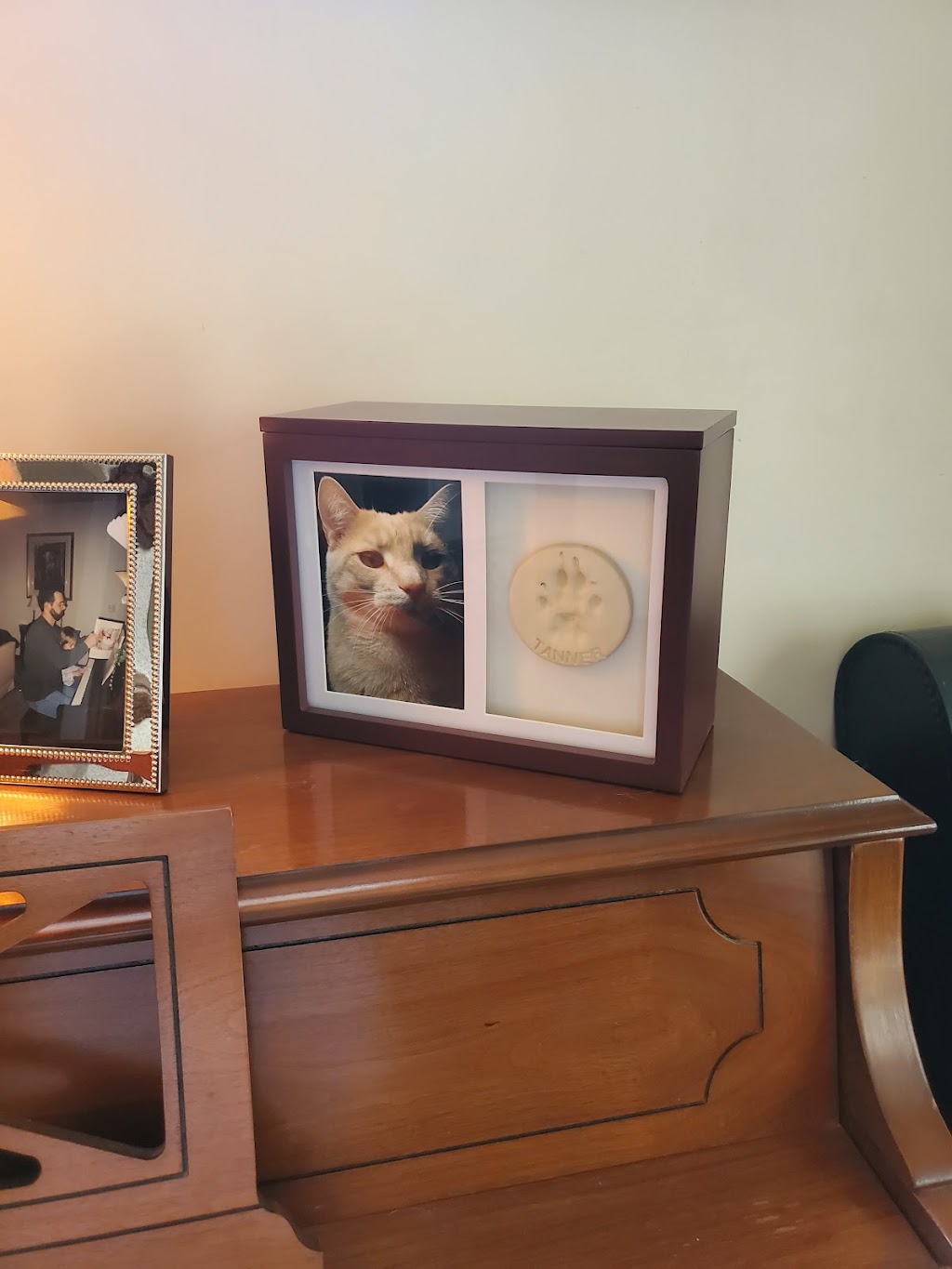 Pet Care Crematory | 4225 16th St SW, Canton, OH 44710, USA | Phone: (330) 477-7387