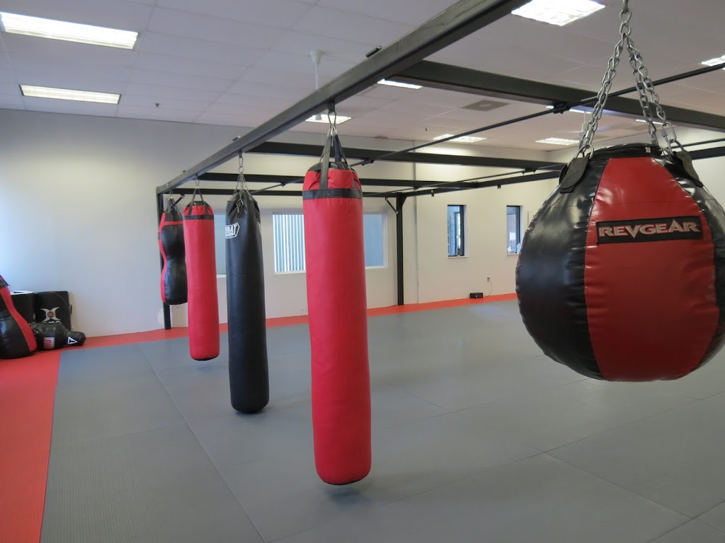 Ann Arbor Mixed Martial Arts | 6159 Jackson Rd, Ann Arbor, MI 48103, USA | Phone: (734) 408-1662