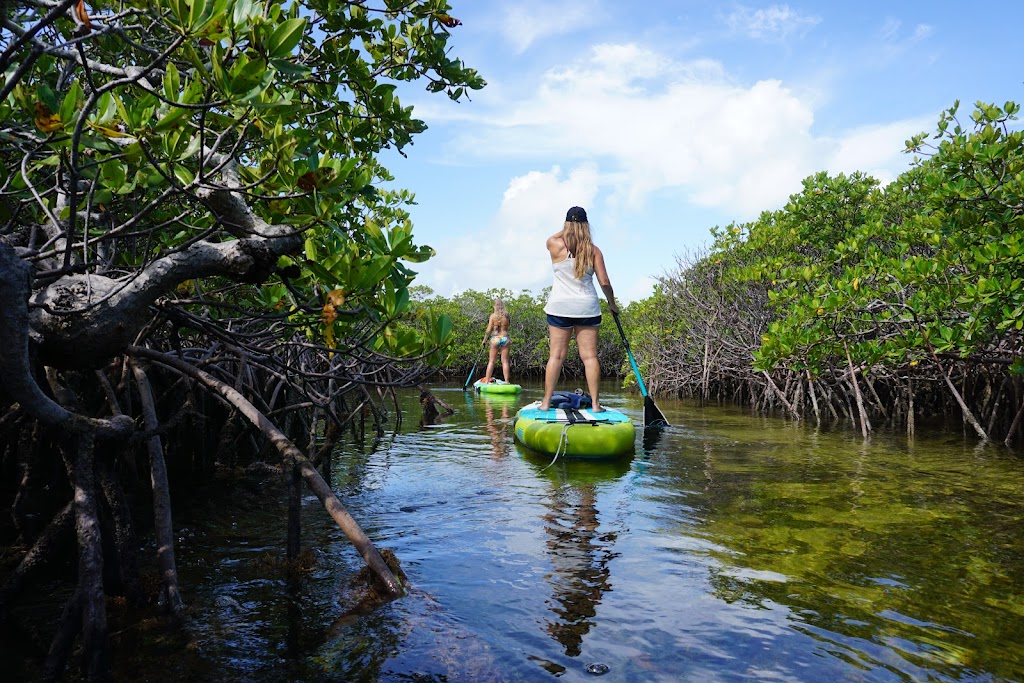 Biscayne National Park Institute | 9700 SW 328th St, Homestead, FL 33033 | Phone: (786) 335-3644