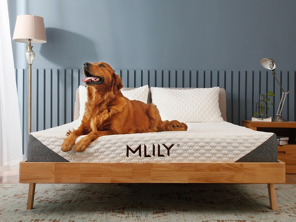 Sleep Cheap Mattresses | 1701 N Missouri St, West Memphis, AR 72301, USA | Phone: (870) 394-4125 Sleep Cheap Mattresses | 1701 N Missouri St, West Memphis, AR 72301, USA | Phone: (870) 394-4125