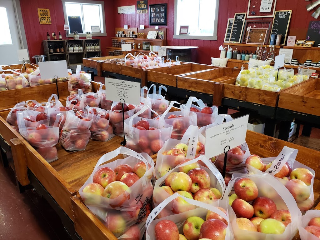 Munchkey Apples | 175 Drammen Valley Rd, Mt Horeb, WI 53572, USA | Phone: (608) 523-1163