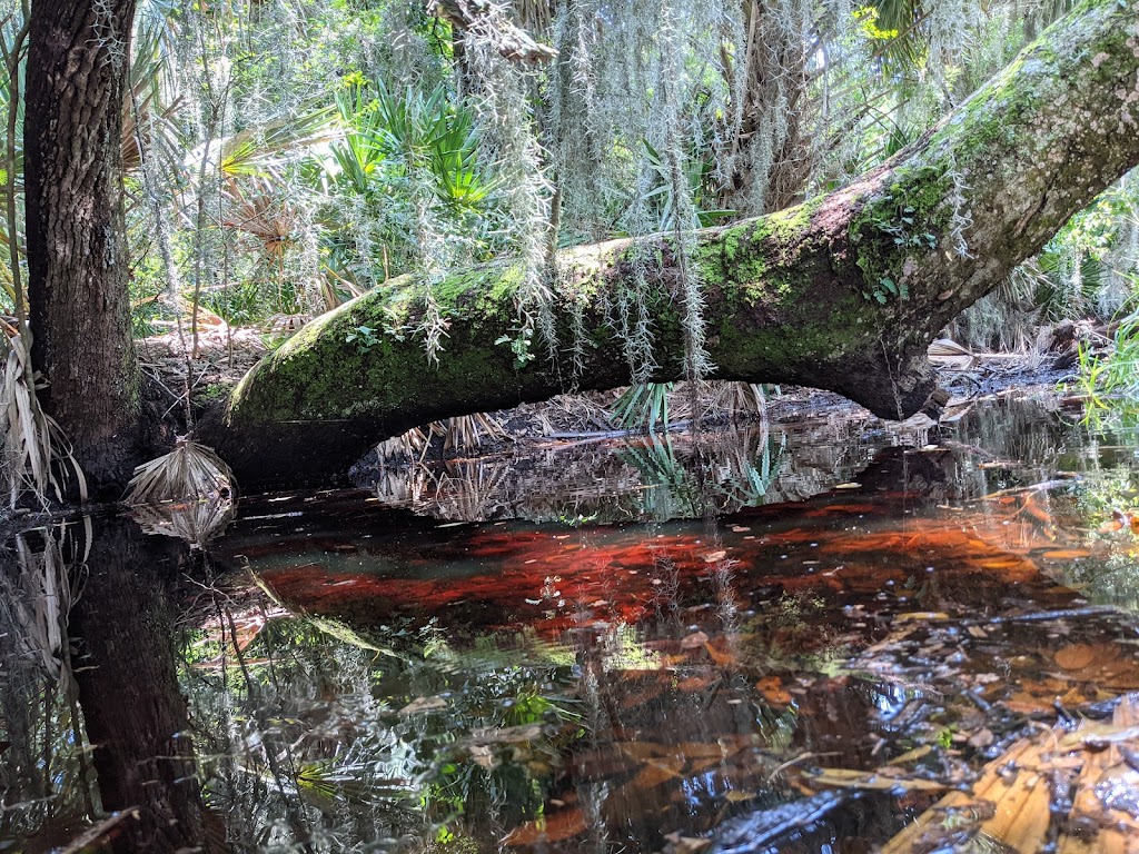 Egans Creek Greenway Trail | Fernandina Beach, FL 32034, USA | Phone: (904) 310-3350