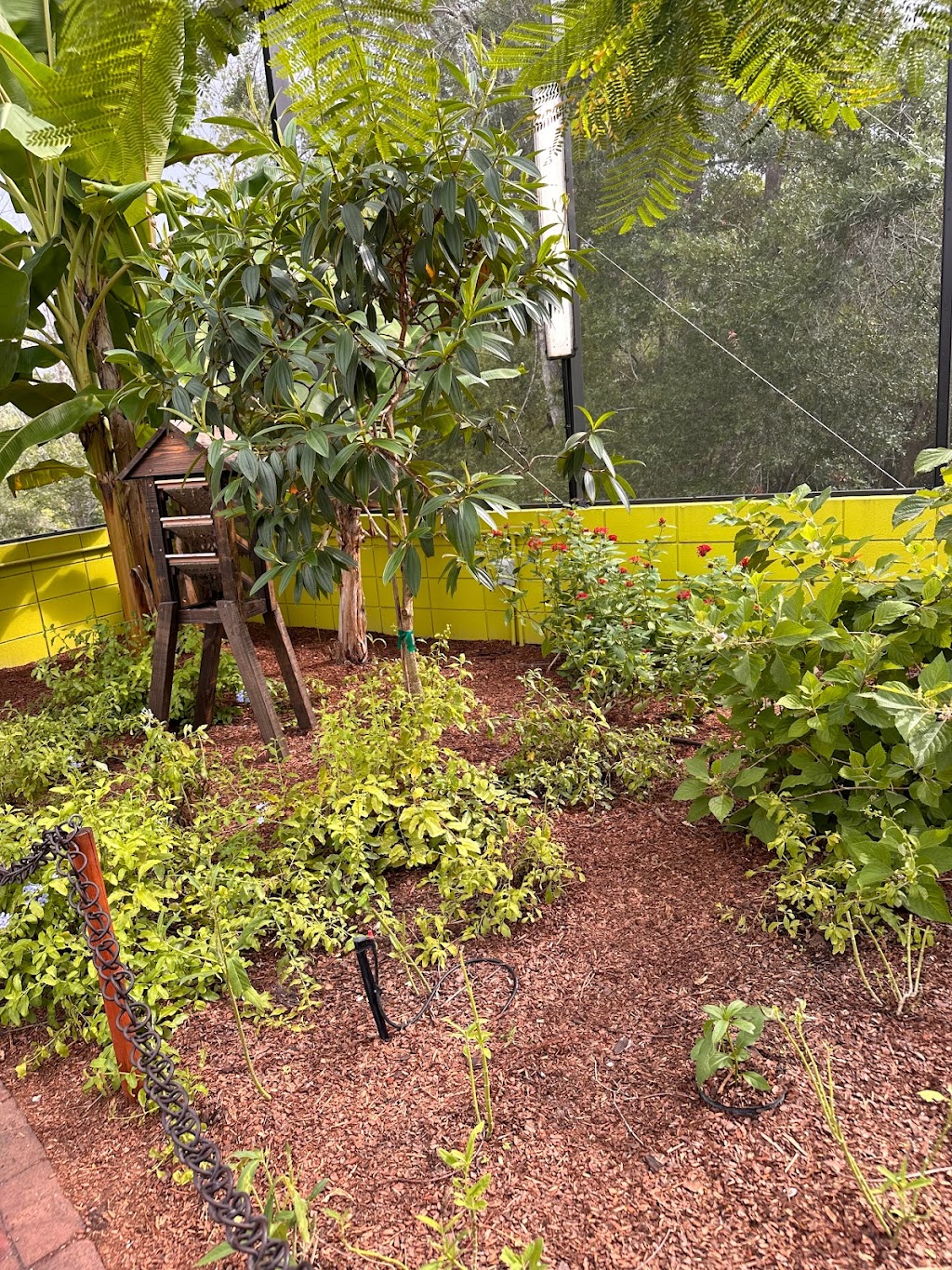 Zoey’s Butterfly House | 940 Bonnet Spgs Blvd, Lakeland, FL 33815, USA | Phone: (863) 732-7000