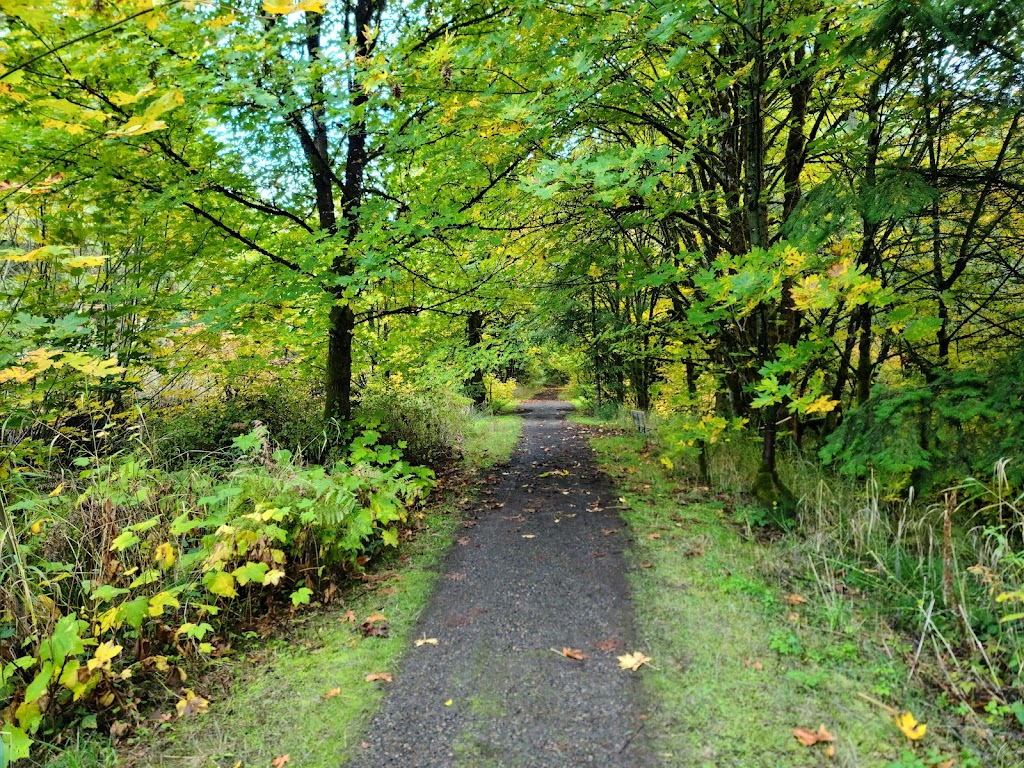 Chapman Landing Trailhead - CZ Trail | Unnamed Road, Scappoose, OR 97056 | Phone: (503) 543-7146