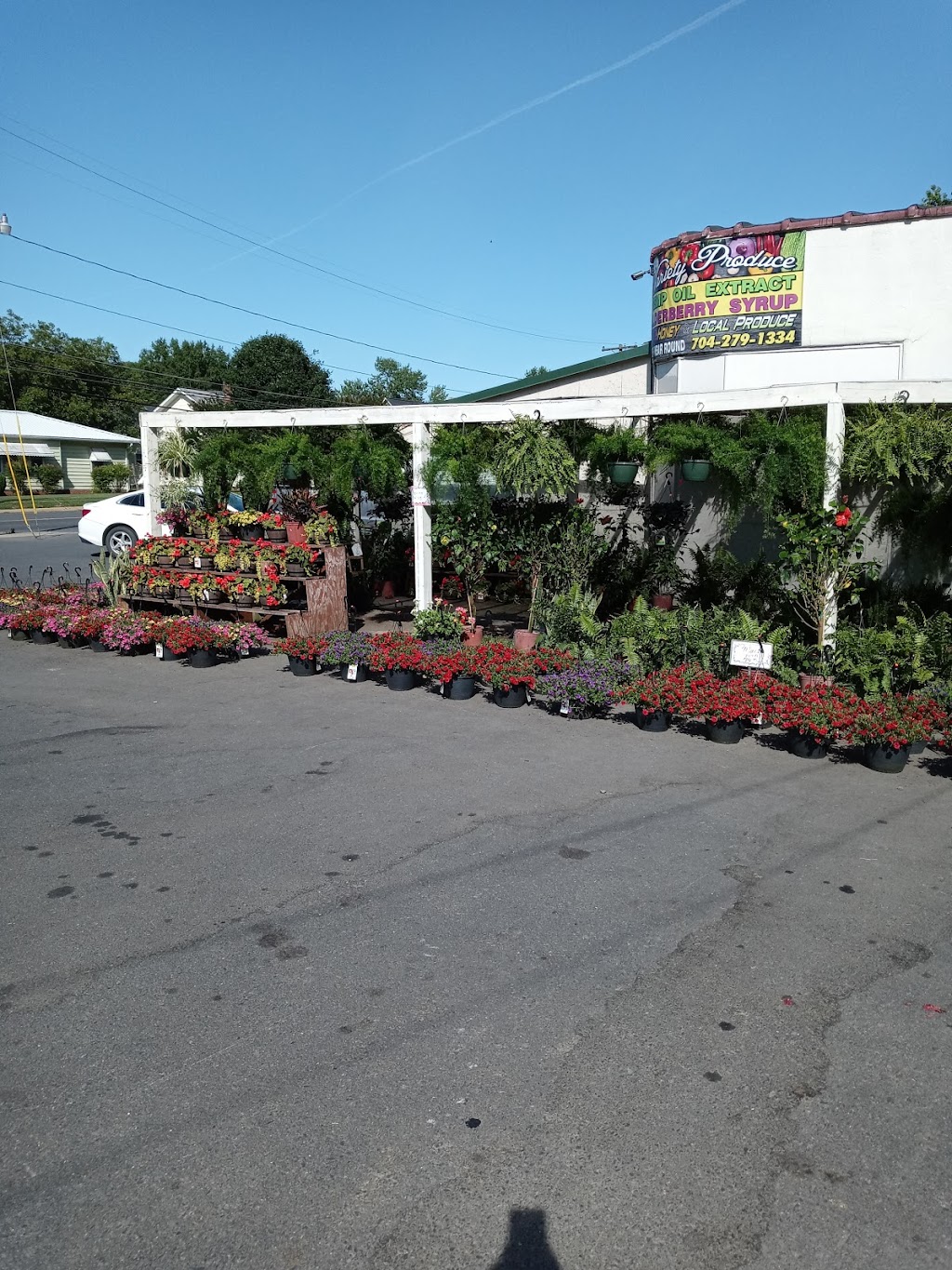 Variety Produce | 415 W Main St, Rockwell, NC 28138, USA | Phone: (704) 279-1334