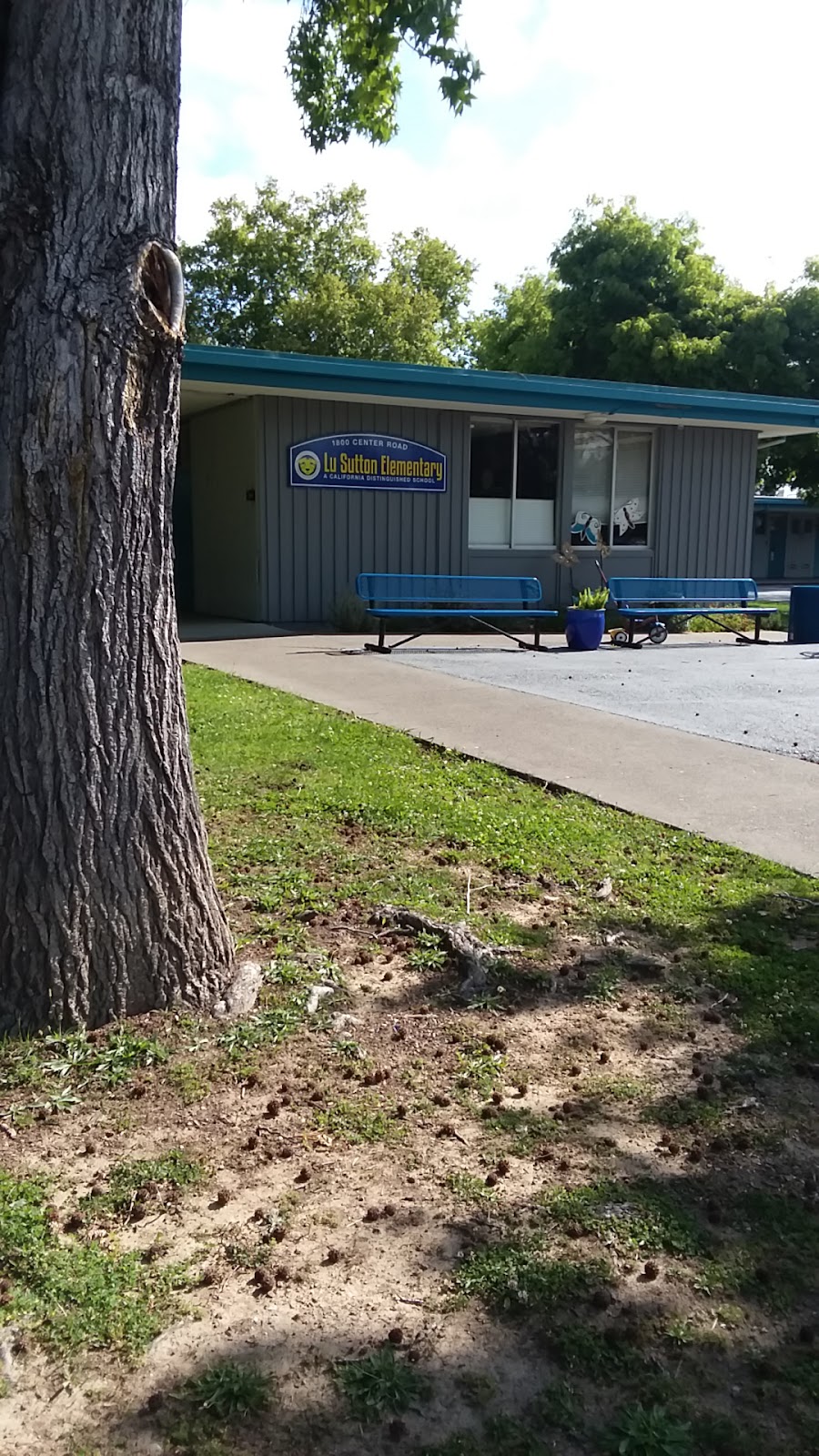 Lu Sutton School Grounds | Novato, CA 94947, USA | Phone: (415) 473-4381