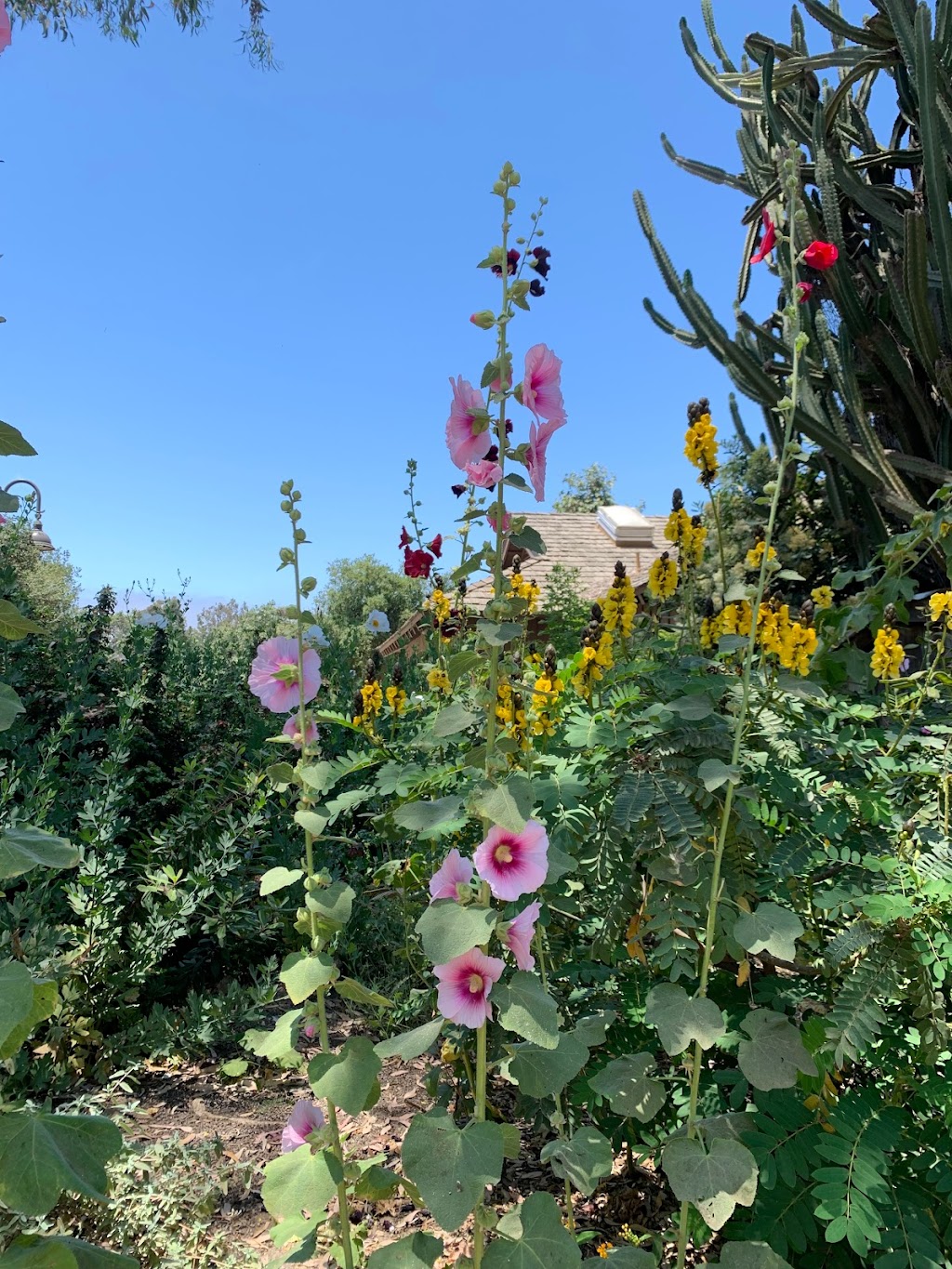 Goin Native Therapeutic Gardens | Los Rios St, San Juan Capistrano, CA 92675, USA | Phone: (949) 606-6386