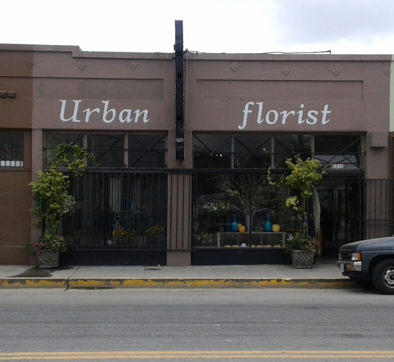 Urban Florist | 5310 W 8th St, Los Angeles, CA 90036, USA | Phone: (323) 937-7100