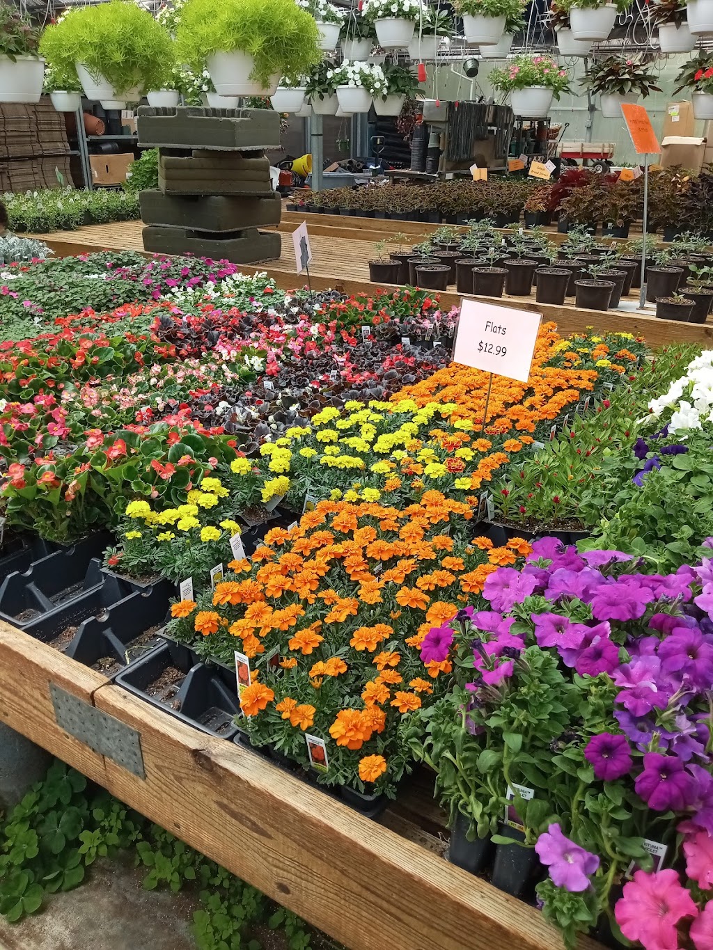 Hohman Floral And Greenhouses | 7048 Hohman Ave, Hammond, IN 46324, USA | Phone: (219) 931-9221