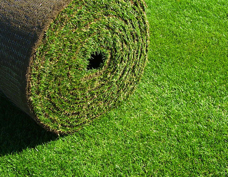 Saratoga Sod Farm | 1670 US-4, Stillwater, NY 12170 | Phone: (518) 664-5038