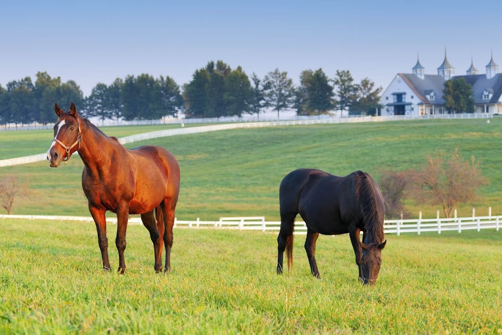 Horse Farm Tours | 3429 Montavesta Rd, Lexington, KY 40502, USA | Phone: (859) 268-2906