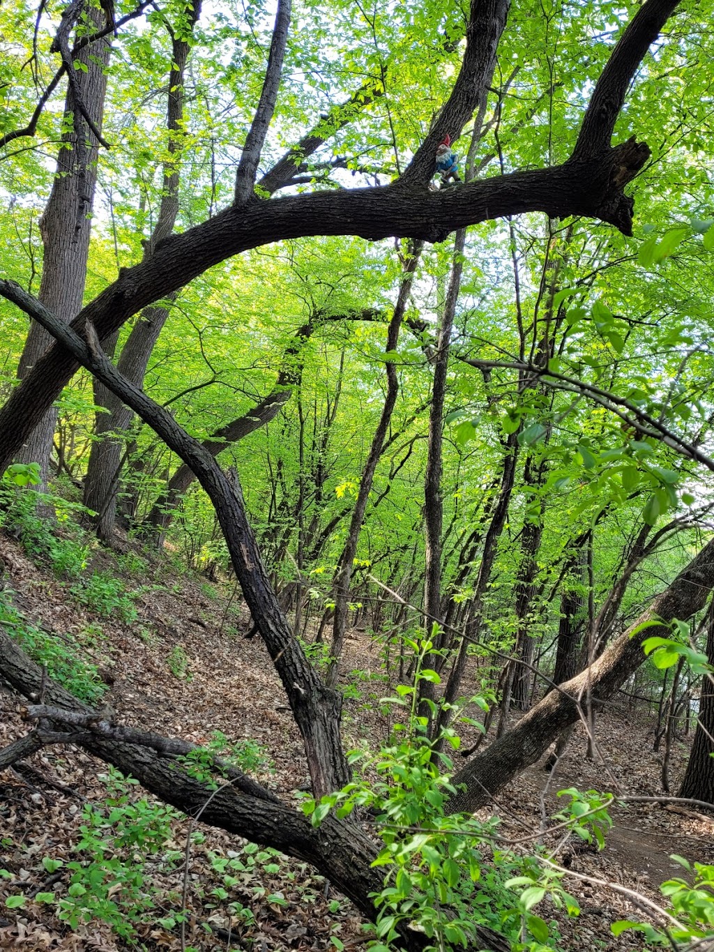 Bush Lake Park - Picnic Shelter #3 | 9098 E Bush Lake Rd, Bloomington, MN 55438, USA | Phone: (952) 563-8877
