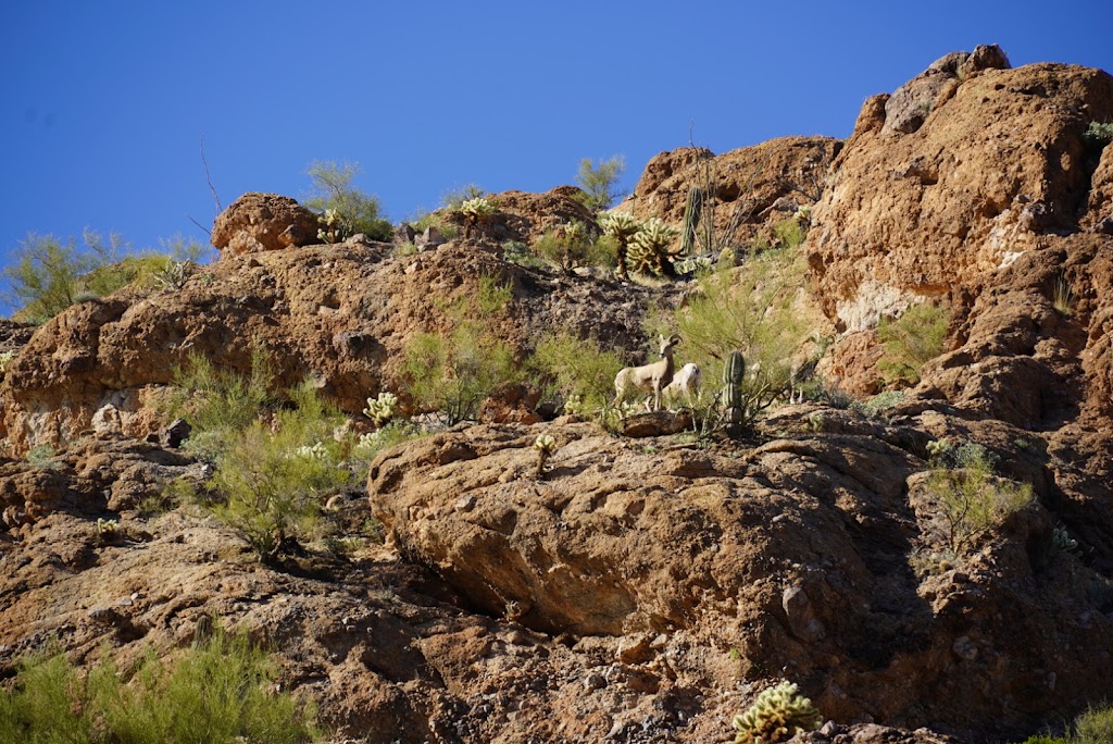 The Dolly Steamboat | 16802 AZ-88, Apache Junction, AZ 85119, USA | Phone: (480) 827-9144