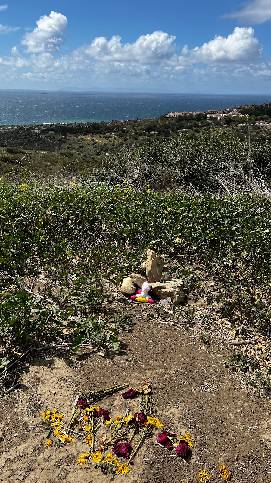 Lower Moro Parking Lot, Crystal Cove State Park | El Moro Canyon Trail, Laguna Beach, CA 92651, USA | Phone: (949) 494-3539