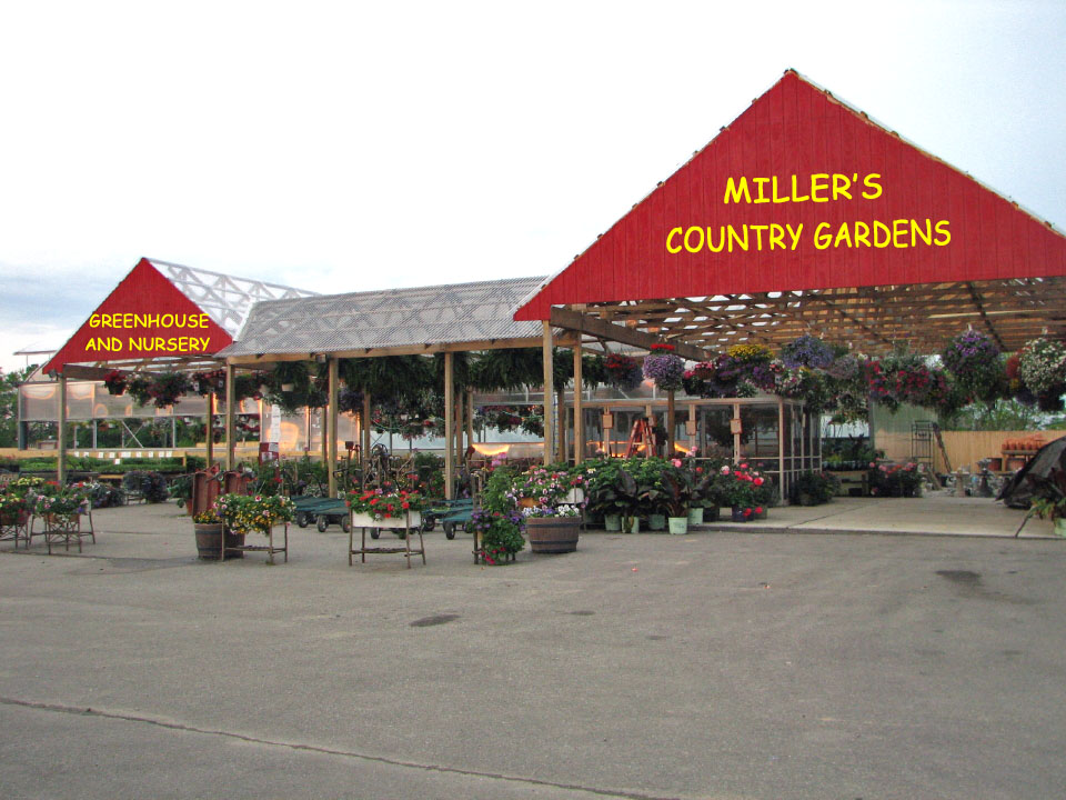 Millers Country Gardens | 2492 State Rte 37 W, Delaware, OH 43015, USA | Phone: (740) 363-5021