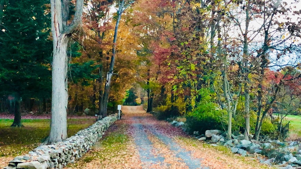 Forever Angels Pet Cemetery and Crematorium | 148 Youngblood Rd, Montgomery, NY 12549, USA | Phone: (845) 895-8950